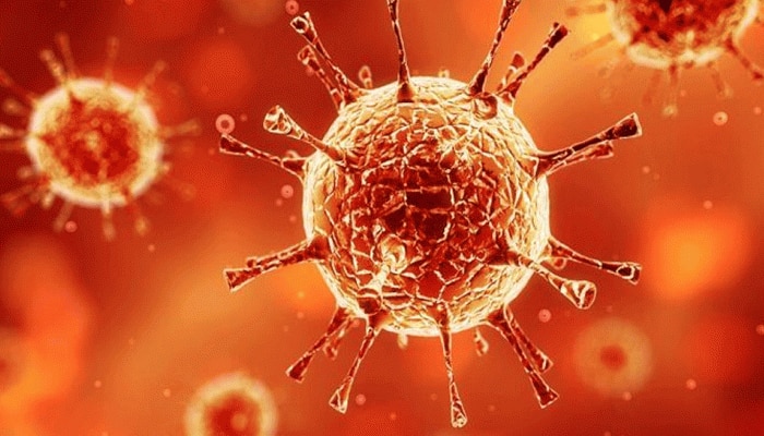 Corona Virus:സൗദിയില് സ്വകാര്യ മേഖലയില് 15 ദിവസം അവധി Corona Virus:സൗദിയില് സ്വകാര്യ മേഖലയില് 15 ദിവസം അവധി