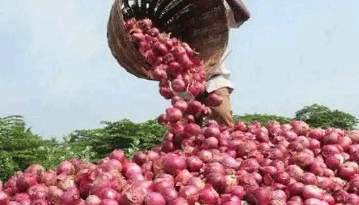 Onion Price: റെക്കോര്‍ഡ് കുതിപ്പില്‍  ഉള്ളിവില,  വില വര്‍ദ്ധനവ് ചുരുങ്ങിയ സമയത്തേയ്ക്കെന്ന് വ്യാപാരികള്‍