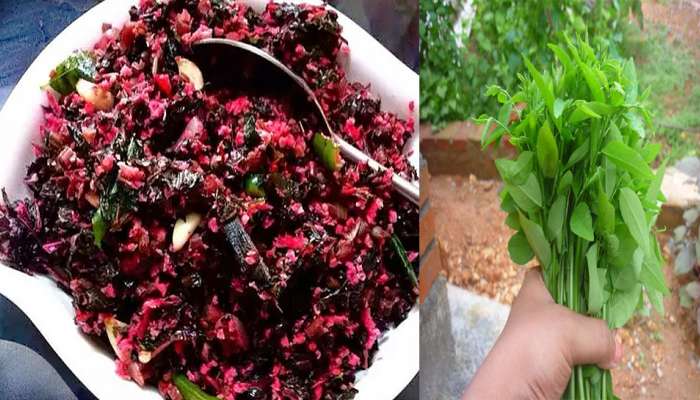 Healthy Lunch:ചീരതോരനും,ഉപ്പേരിയും മറക്കാതെ കഴിക്കാം ഇൗ കറികൾ ഉച്ചക്ക് ഉൗണിനൊപ്പം