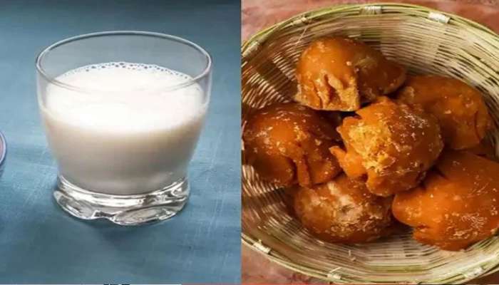 Jaggery Benefit: കിടക്കുന്നതിന് മുൻപ് പാലിൽ ശർക്കര ചേർത്ത് കുടിക്കൂ! ഗുണങ്ങൾ ഏറെ  