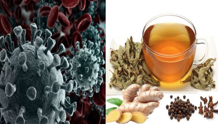 Immunity Booster: തുളസി, കുരുമുളക് എന്നിവ ഉപയോഗിച്ച് തയ്യാറാക്കിയ ഈ കഷായം നിങ്ങളെ കൊറോണയിൽ നിന്ന് രക്ഷിക്കും