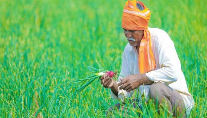 Good News: PM Kisan ന്റെ അടുത്ത ഗഡു ഈ ശുഭദിനത്തിൽ ലഭിക്കും