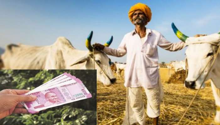 PM Kisan: അക്കൗണ്ടിലേക്ക് ഇതുവരെ എത്തിയിട്ടില്ലെ 2000 രൂപ! പരാതി നൽകൂ ഉടൻ ലഭിക്കും