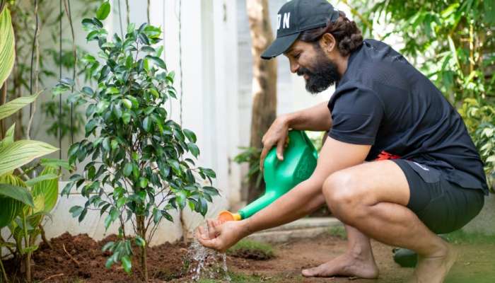 World Environment Day : ലോക പരിസ്ഥിതി ദിനത്തിൽ മരതൈ നട്ട് Allu Arjun