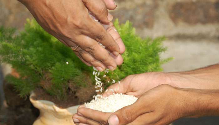 Covid Vaccine: അരുണാചലിലെ ഗ്രാമത്തിൽ വാക്സിൻ സ്വീകരിക്കുന്നവർക്ക് അരി സൗജന്യം 