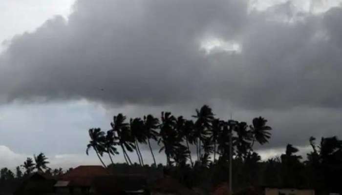 Rain Alert: സംസ്ഥാനത്ത് കാലവർഷം ശക്തം; 11 ജില്ലകളിൽ യെല്ലോ അലർട്ട്