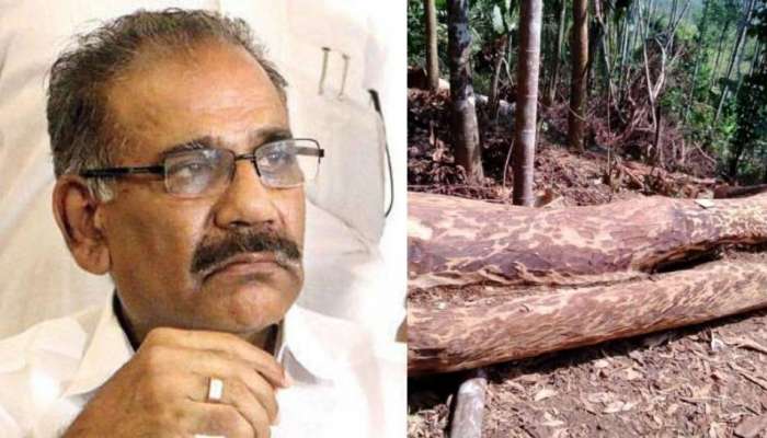 Muttil Tree Felling Case: മരം മുറി കേസിൽ പഴുതടച്ച അന്വേഷണം നടക്കുന്നുണ്ടെന്ന് വനം മന്ത്രി, വേദിയിൽ തൊട്ടടുത്ത് കേസിലെ കുറ്റാരോപിതൻ എൻ.ടി സാജനും