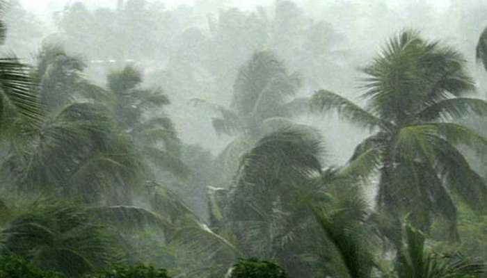 Kerala Rain Alert: സംസ്ഥാനത്ത് ശക്തമായ മഴയ്ക്ക് സാധ്യത; 5 ജില്ലകളിൽ orange alert  