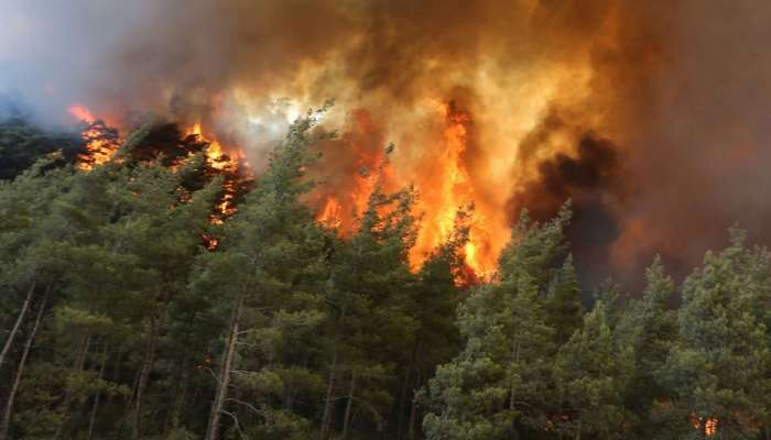 Wildfire in Turkey; മൂന്ന് മരണം, 1,500 ഏക്കർ കൃഷി ഭൂമി കത്തി നശിച്ചു