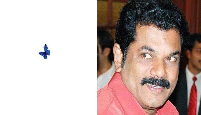 Mukesh Methil Devika Divorce: സിനിമാതാരം മുകേഷ് പറത്തിവിട്ട നീല പൂമ്പാറ്റയുടെ  (blue butterfly) പൊരുള്‍ അറിയുമോ?  