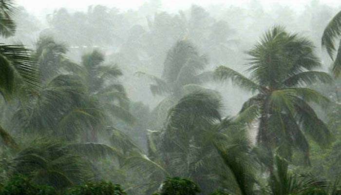 Heavy Rain Alert: രണ്ട് ജില്ലകളില്‍ ശക്തമായ മഴയ്ക്ക് സാധ്യത, യെല്ലോ അലേര്‍ട്ട് പ്രഖ്യാപിച്ചു 