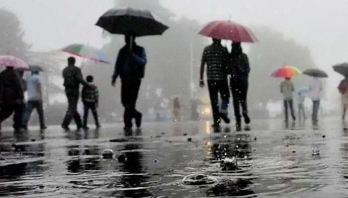 Rain Alert: സംസ്ഥാനത്ത് ശക്തമായ മഴയ്ക്ക് സാധ്യത; 10 ജില്ലകളിൽ യെല്ലോ അലർട്ട്