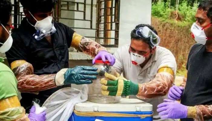 Nipah Virus: എട്ട് പേർക്ക് കൂടി രോഗ ലക്ഷണങ്ങൾ,പ്രതിരോധത്തിന് സംസ്ഥാനത്തിന് നിപ മാനേജ്‌മെന്റ് പ്ലാന്‍