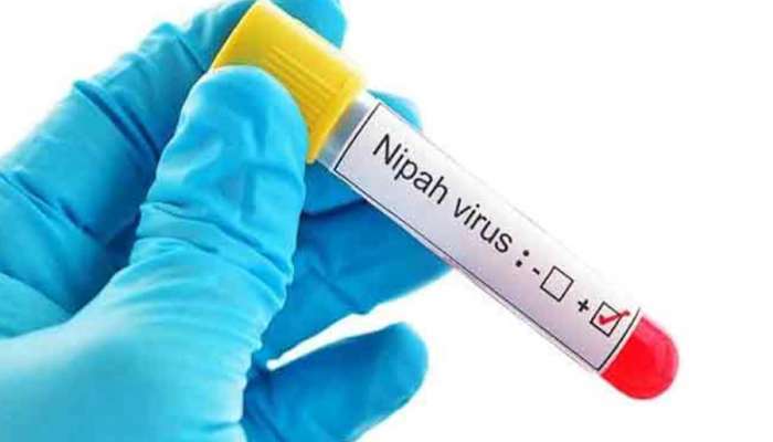 Nipah ഭീഷണി അകലുന്നതായി മന്ത്രിസഭാ യോഗം; പ്രതിരോധ നടപടികൾ തുടരും