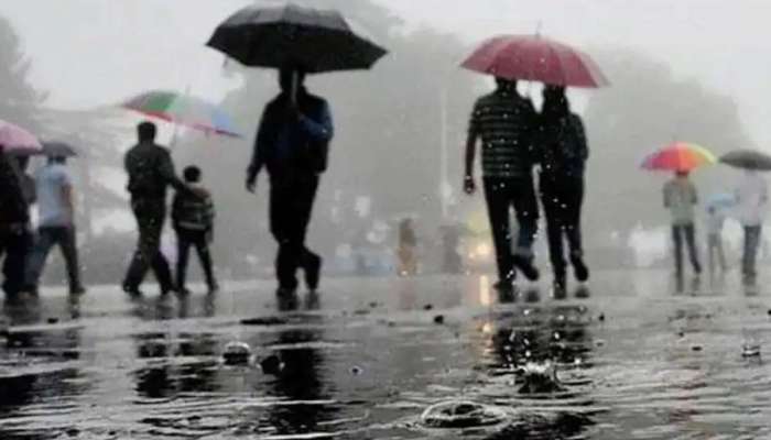 Rain Alert | സംസ്ഥാനത്ത് ശക്തമായ മഴയ്ക്ക് സാധ്യത; രണ്ട് ജില്ലകളിൽ യെല്ലോ അലർട്ട്