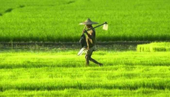 Agriculture Offices| കർഷകന് കൊടുക്കണം മുൻ നിര സീറ്റ്, നല്ല പെരുമാറ്റത്തിനും മാർക്ക്,കൃഷി ഭവനുകളിൽ റാങ്കിങ്ങ് വരുന്നു