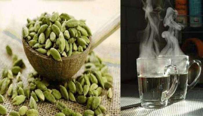 Benefits of cardamom water: തടി കുറയ്ക്കണോ ഏലയ്ക്ക വെള്ളം പതിവായി കുടിക്കുക, ഫലം ഉറപ്പ്