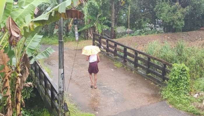 Heavy rain in Kerala: സംസ്ഥാനത്ത് ഇന്നും ശക്തമായ മഴ; ഇടുക്കി അണക്കെട്ടിൽ ബ്ലൂ അലർട്ട് പ്രഖ്യാപിച്ചു
