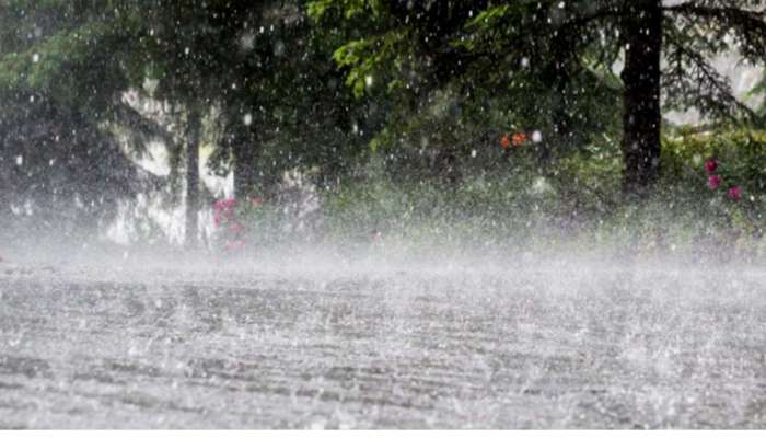 Heavy Rain in Kerala : കേരളത്തിൽ കനത്ത മഴ തുടരും; 4 ജില്ലകളിൽ അതിതീവ്ര മഴയ്ക്ക് സാധ്യത