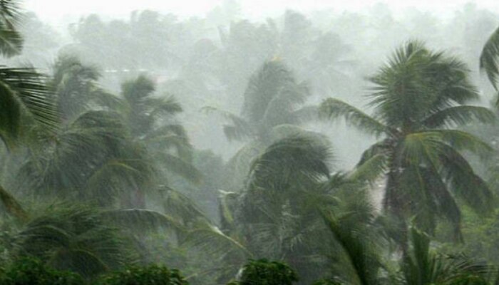 Heavy Rain in Kerala: വീണ്ടും ദുരിത പെയ്ത്ത്, പാലക്കാടും മലപ്പുറത്തും ഉരുൾപൊട്ടൽ, ചൊവ്വാഴ്ച മുതൽ തുലാവർഷവും