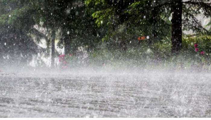 Heavy Rain Alert : സംസ്ഥാനത്ത് വീണ്ടും കനത്ത മഴയ്ക്ക് സാധ്യത; രണ്ട് ജില്ലകളിൽ ഓറഞ്ച് അലർട്ട് പ്രഖ്യാപിച്ചു