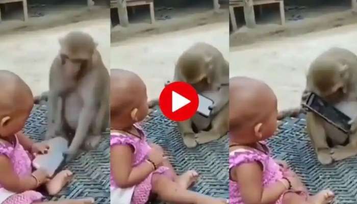 Baby And Monkey Video: ആകാംക്ഷ കാണില്ലേ? കുട്ടിയുടെ കയ്യിൽ നിന്നും ഫോൺ എടുത്ത് കുരങ്ങ്-Viral 