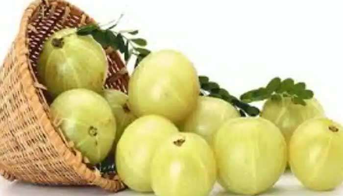 Amla Tea For Weight Loss: ശൈത്യകാലത്ത് ശരീരഭാരം വർധിക്കാതിരിക്കാൻ നെല്ലിക്ക ചായ ഉത്തമം 