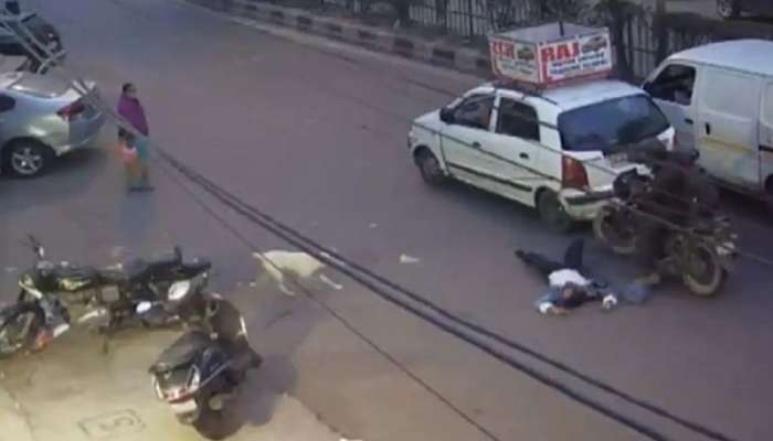 Shocking Video| മോഷ്ടാക്കൾ യുവതിയെ നടു റോഡിൽ വലിച്ചിഴക്കുന്നു-ഞെട്ടിക്കുന്ന വീഡിയോ