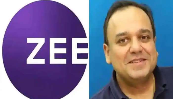 Zeel-Sony Merger | സോണി, സീൽ ലയനത്തിനുള്ള നിർണായക കരാറുകളിൽ ഒപ്പുവച്ചു; സംയുക്ത കമ്പനിയുടെ എംഡിയും സിഇഒയും ആയി പുനിത് ഗോയങ്ക നയിക്കും