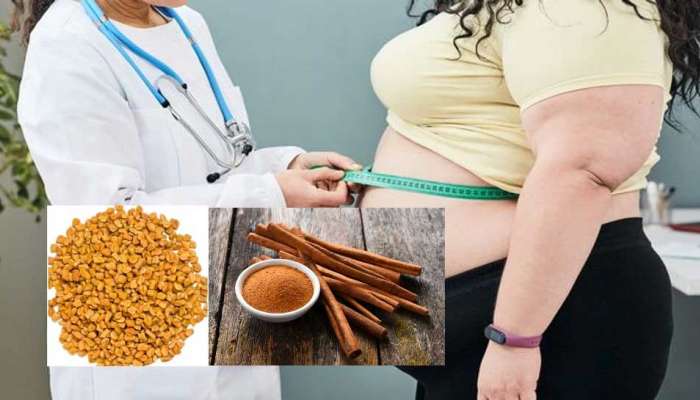 New year 2022 Weight loss: അടുക്കളയിലുള്ള ഈ 6 കൂട്ടുകൾ നൽകും പൊണ്ണത്തടിയിൽ നിന്നും രക്ഷ 