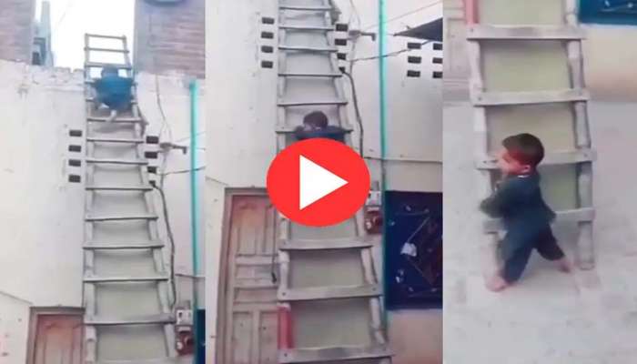 Viral Video: കൂളായി കോണിപ്പടി ഇറങ്ങുന്ന കൊച്ചു മിടുക്കന്‍..!! വീഡിയോ വൈറല്‍ 