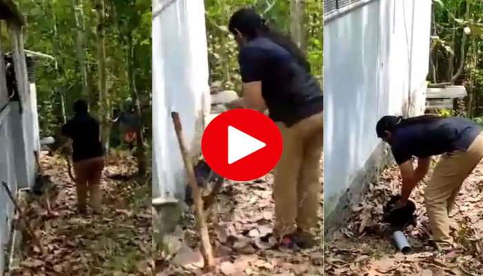 Viral Video: യുവതി പാമ്പിനെ പിടിക്കുന്ന രീതി കണ്ടാൽ നിങ്ങൾ ഞെട്ടും..!