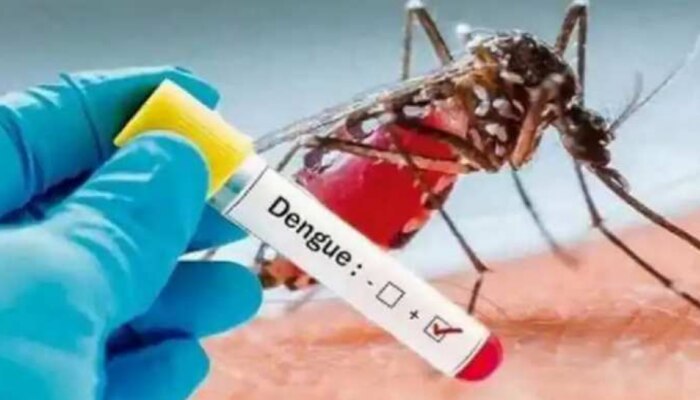 Anti dengue drug: ഡെങ്കിപ്പനിക്കുള്ള പ്രതിരോധ മരുന്ന് അഞ്ച് വർഷത്തിനുള്ളിൽ 