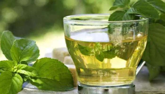 Green tea: ​ഗ്രീൻ ടീ കുടിച്ചാൽ ഒരുപാടുണ്ട് ​ഗുണങ്ങൾ