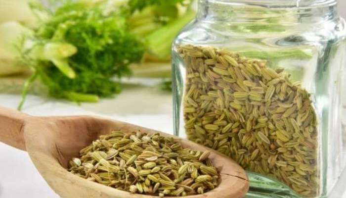 Fennel water: പ്രതിരോധ ശേഷി മെച്ചപ്പെടുത്താൻ പെരുംജീരകം ഈ രീതിയിൽ ഉപയോ​ഗിച്ചു നോക്കൂ...