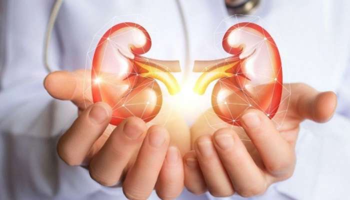 World Kidney Day 2022: കാത്ത് വെക്കണം പൊന്ന് പോലെ, ഇന്ന് ലോക വൃക്ക ദിനം
