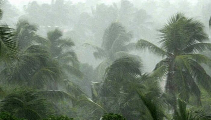 കാറ്റും മഴയും ശക്തമാകുന്നു, ശ്രദ്ധിക്കണം ഇക്കാര്യങ്ങൾ; ജാ​ഗ്രത നിർദേശങ്ങളുമായി ദുരന്ത നിവാരണ അതോറിറ്റി