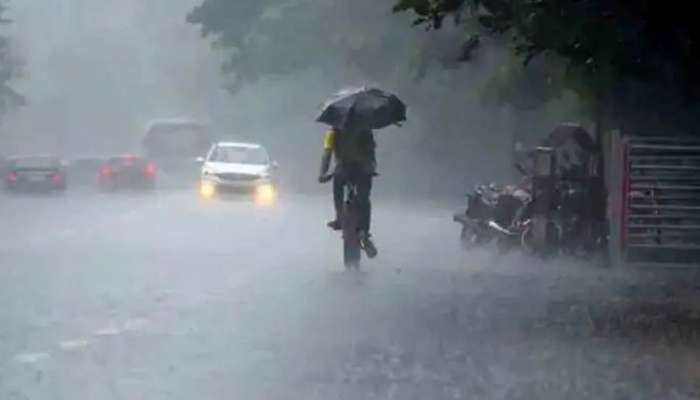  Heavy Rain Alert : സംസ്ഥാനത്ത് 8 ജില്ലകളിൽ യെല്ലോ അലർട്ട്; മഴ ഇനിയും കനക്കും 