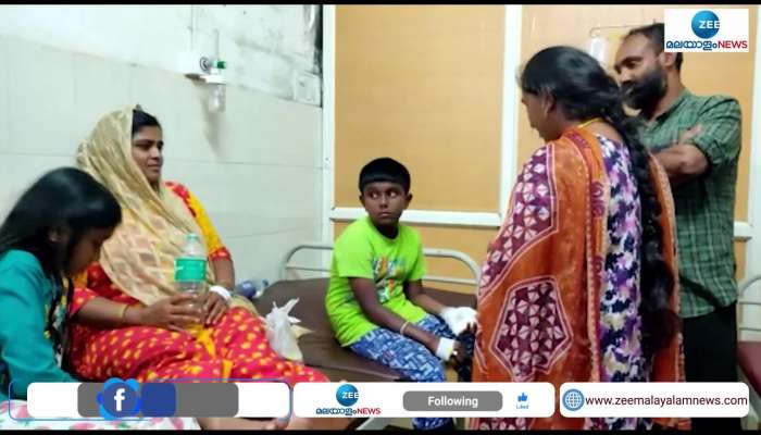 Thirty persons injured in a street dog attack in Wayanad Kalpetta