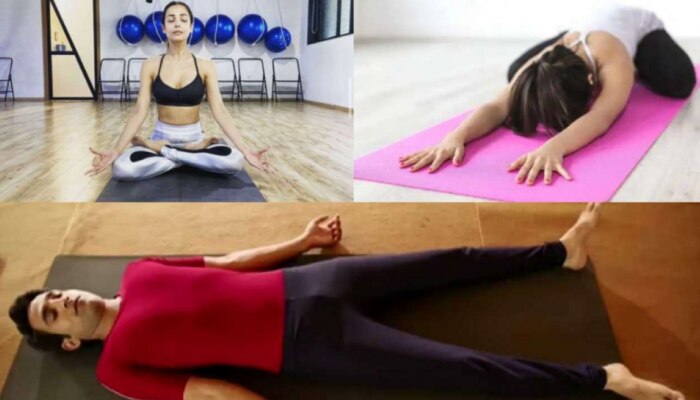 Yoga|Yoga asanas for gas and acidity problems|ഗ്യാസും അസിഡിറ്റിയും  അലട്ടുന്നുവോ? ഈ യോഗാസനങ്ങൾ പരിശീലിക്കൂ| News in Malayalam