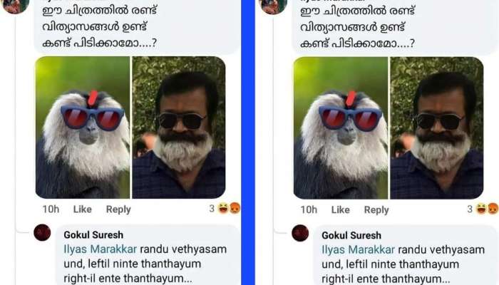 'ഇടതിൽ നിന്റെ തന്ത,വലതിൽ എന്റെ തന്ത'; സുരേഷ് ഗോപിയെ അധിക്ഷേപിച്ചയാളുടെ വായടപ്പിച്ച് ഗോകുൽ സുരേഷ്