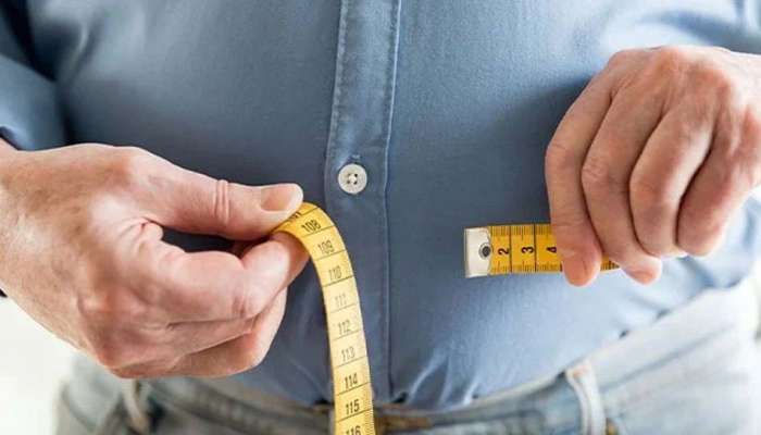 Weight Gain Reasons : ശരീരഭാരം അമിതമായി വർധിക്കുന്നതിന് പ്രധാന കാരണങ്ങൾ എന്തൊക്കെ?