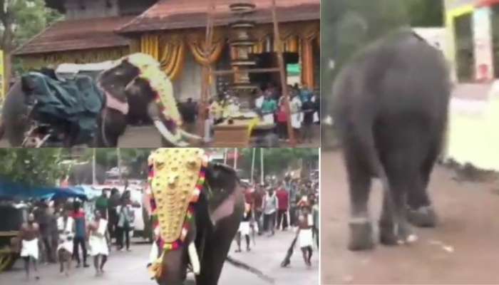 Thrissur Pooram 2022: പൂരത്തിനിടെ ആന വിരണ്ടു, അനിഷ്ട സംഭവങ്ങളില്ല