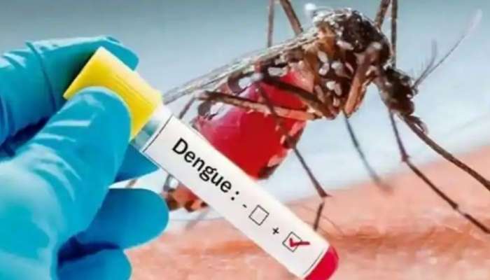 National dengue day 2022: സംസ്ഥാനത്ത് മഴ തുടരുന്ന സാഹചര്യത്തില്‍ ഡെങ്കിപ്പനിക്കെതിരെ അതീവ ജാഗ്രത പുലര്‍ത്തണമെന്ന് ആരോ​ഗ്യമന്ത്രി