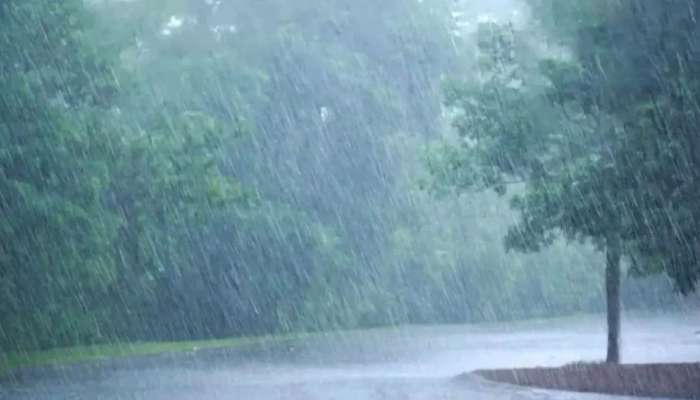 Kerala Rain Updates: സംസ്ഥാനത്ത് ഇന്നും മഴയ്ക്ക് സാധ്യത; 3 ജില്ലകളിൽ യെല്ലോ അലർട്ട്