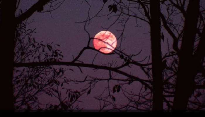 Strawberry Supermoon on June 14:  എന്താണ് സ്ട്രോബെറി സൂപ്പർമൂൺ? എവിടെ, എപ്പോൾ എങ്ങനെ കാണാം, അറിയേണ്ടതെല്ലാം