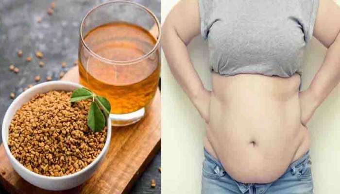 Weight Loss Tips : വെറും ചായ അല്ല ഉലുവ ചായ കുടിക്കു; വണ്ണം കുറയും