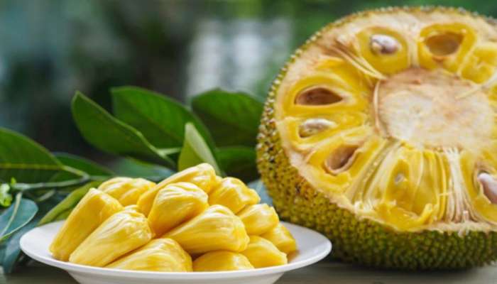 Jackfruit benefits: അത്ര നിസ്സാരക്കാരനല്ല ചക്ക, ഗുണങ്ങൾ പലവിധം