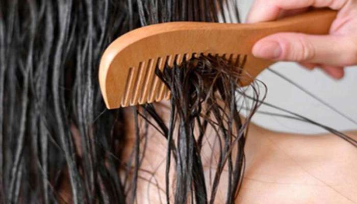 Hair Care Tips: മുടി കൊഴിച്ചില്‍ തടയാം, ഈ ശീലങ്ങൾ ഒഴിവാക്കിയാല്‍  മതി