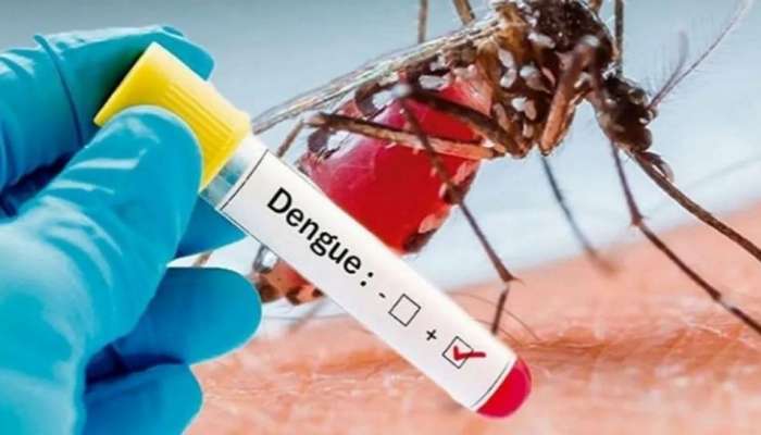 Dengue: ഡൽഹിയിൽ ഡെങ്കിപ്പനി കേസുകൾ വർധിക്കുന്നു; പകർച്ചവ്യാധികളെ നേരിടാൻ പൂർണസജ്ജമെന്ന് സർക്കാർ
